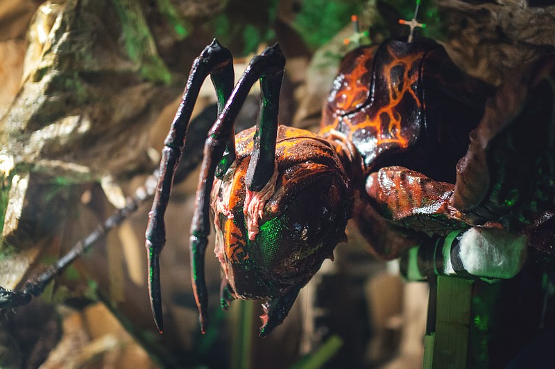 Get 'Stung' By Giant Wasp Movie episode artwork