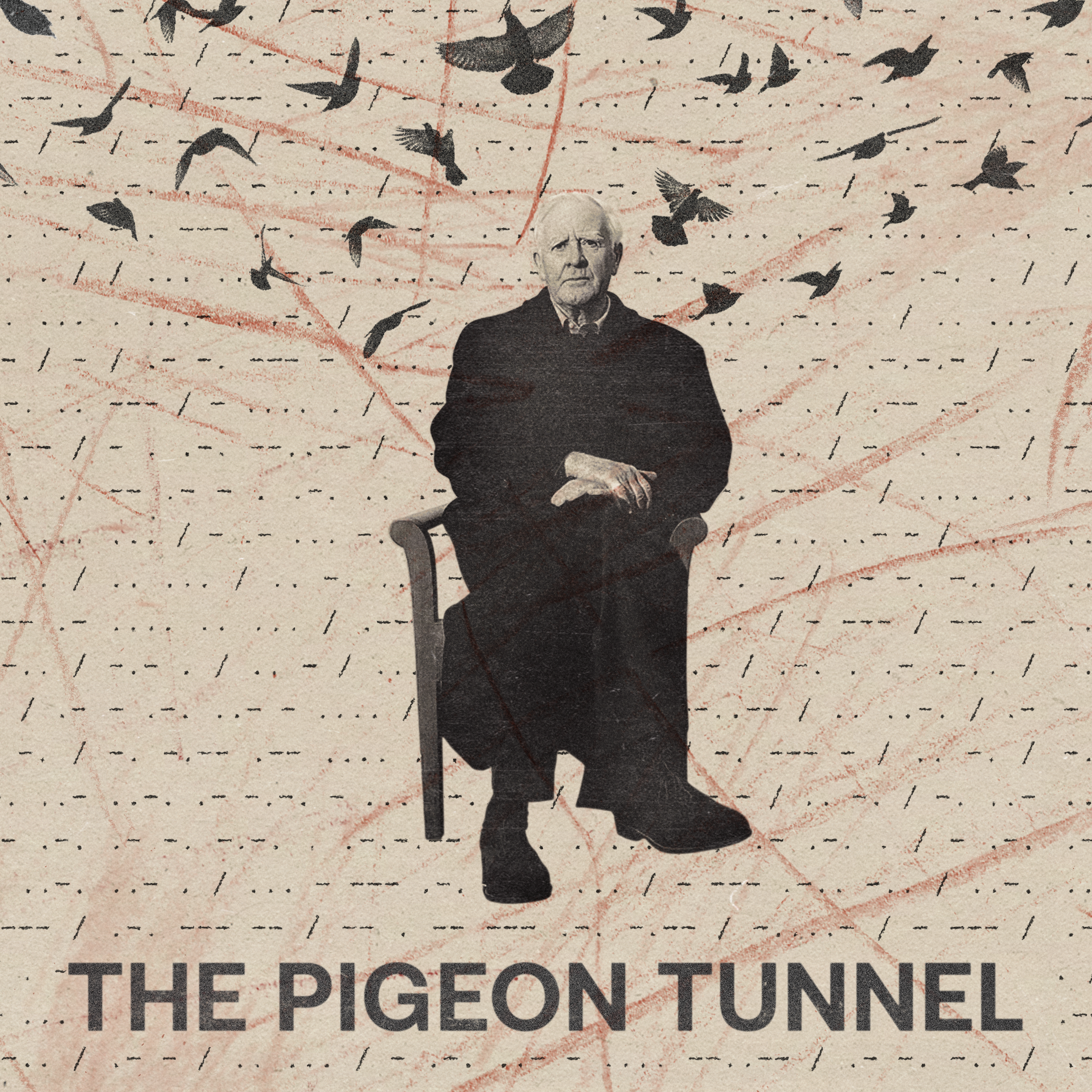 Errol Morris' 'The Pigeon Tunnel' episode artwork